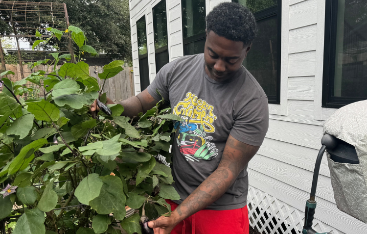 Image of Timothy Hammond in garden