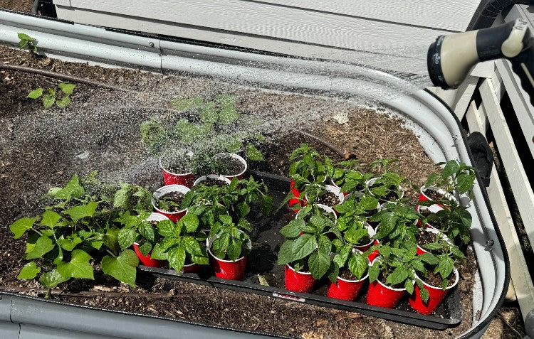 April Abundance! Zone 8-10 Gardening Advice