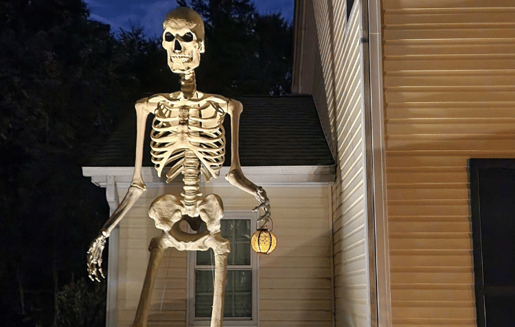 How to Create a Spooky Halloween Garden with Solar Lights