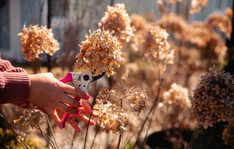 Zone 5-7: March is for Pruning!