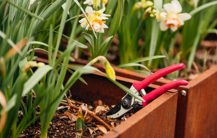 April is here… Nurturing soil, seedlings and spirits! Zone 5-7