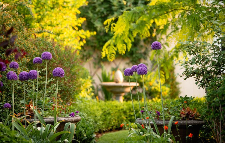 Zone 5-7 Gardening Checklist: The June Garden