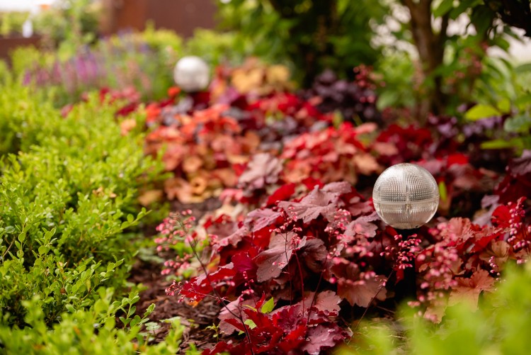 Tending What’s Left: The August Garden Guide