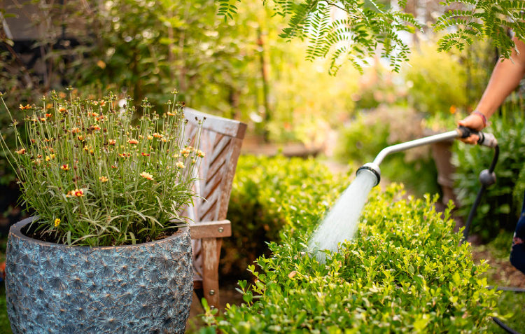 shower wand watering garden
