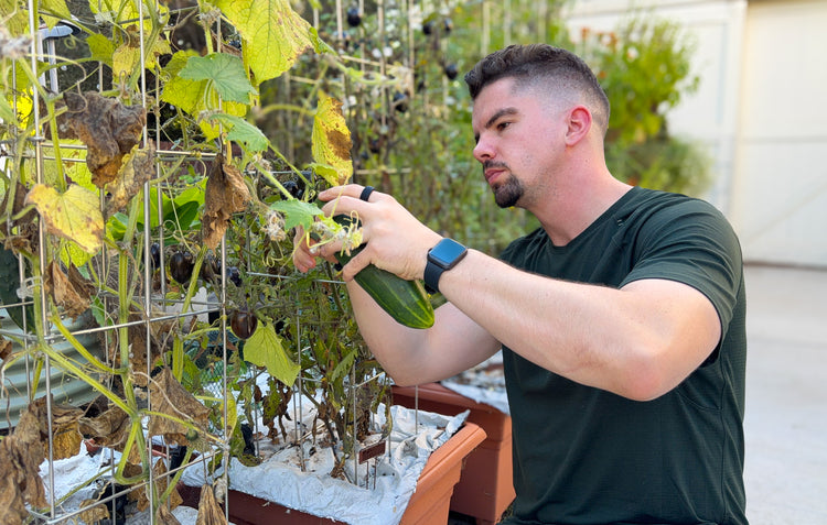 The Art of Slowing Down: November Gardening in Zones 9-10