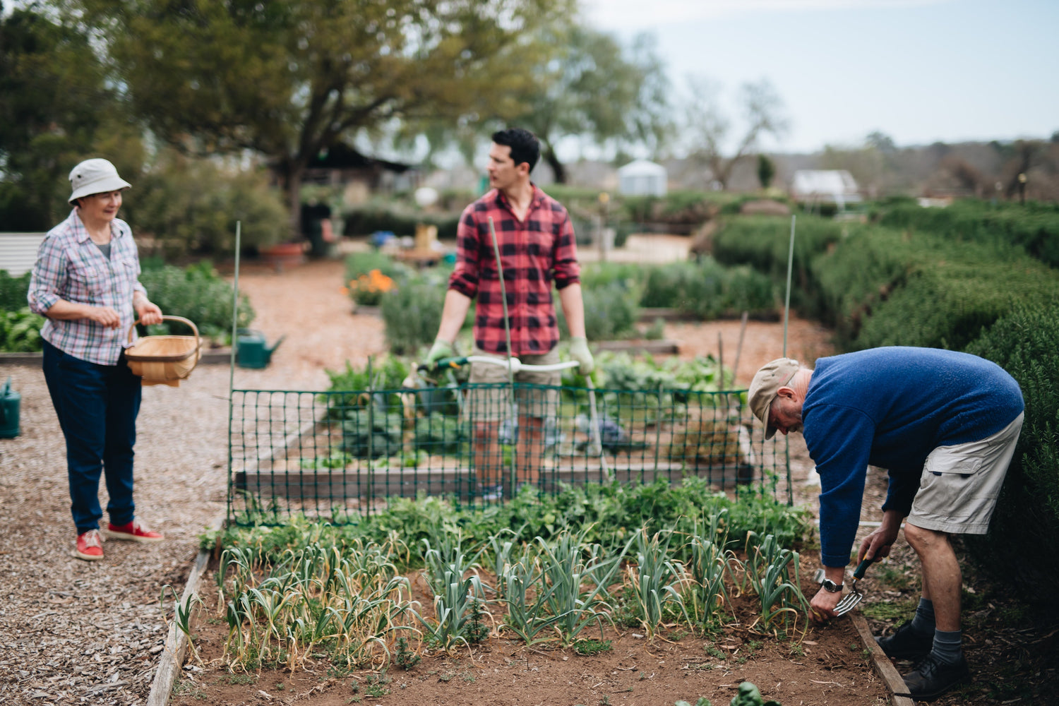 How to Start a Thriving Fall Garden: A Step-by-Step Guide