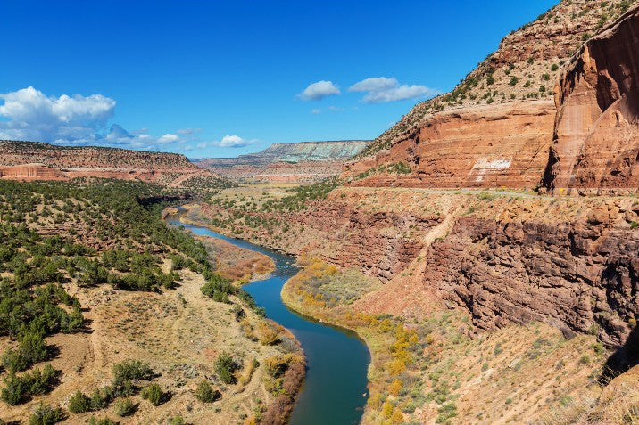 How to Save Water in your Garden