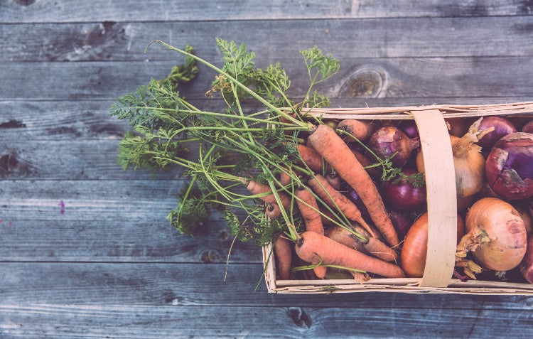 See which jobs you can tick off your to-do list this Fall