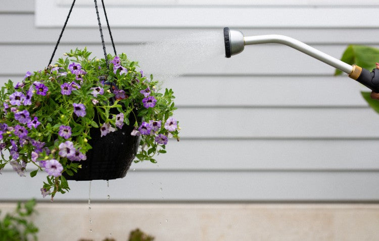 must-do-spring-gardening-jobs