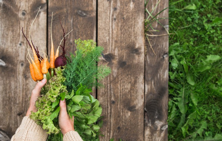 Grow your own veggies