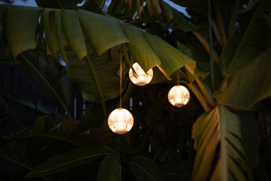 solar-light-globes-hanging-from-tree