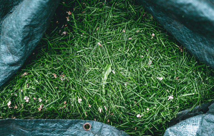 Image of grass clippings collected in a heavy duty planter bag