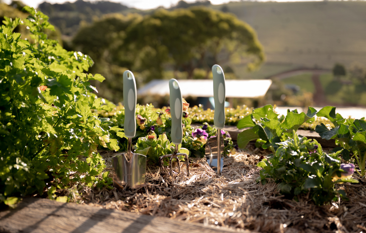 Image of fork, trowel and weeder in garden bed