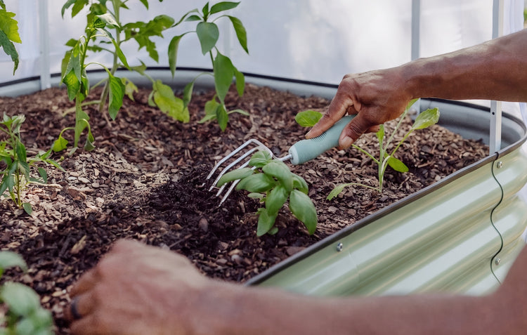 Hands using garden tools in garden bed