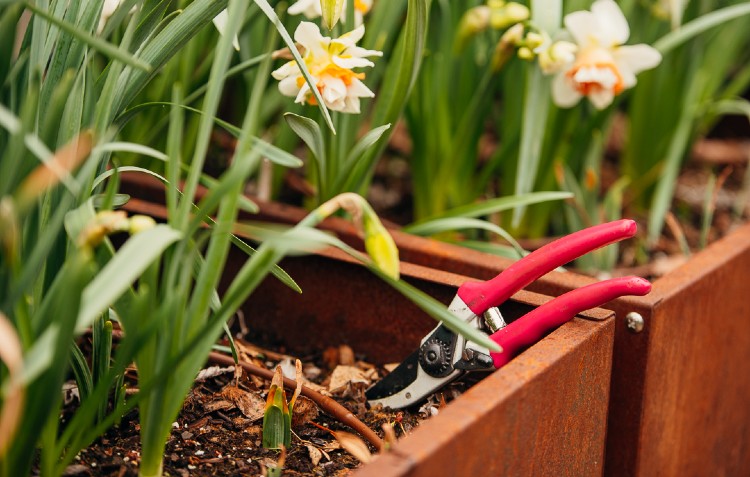 April is here… Nurturing soil, seedlings and spirits! Zone 5-7