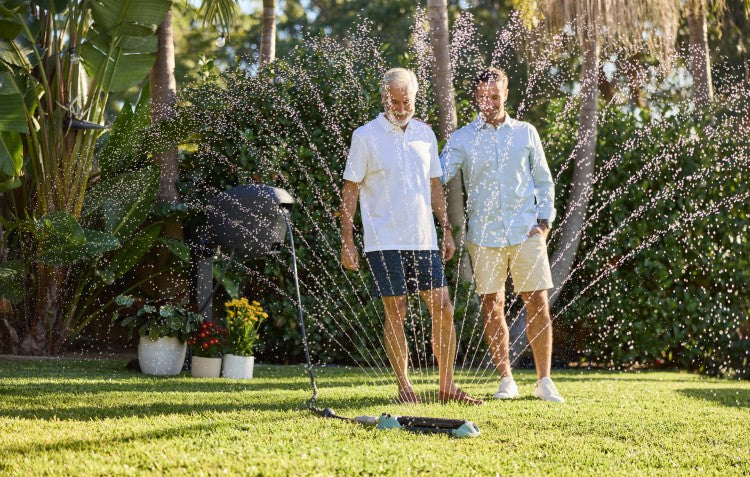 Top Summer Lawn Care Tips 