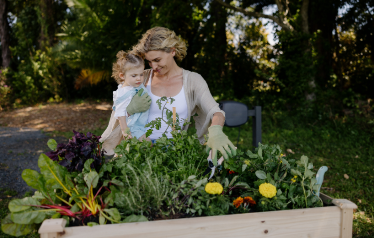 Chaos Gardening: How to Start a Beautiful, Low-Maintenance Garden (Even in Small Spaces)