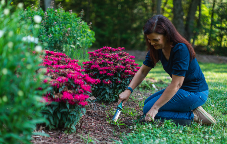Spring Gardening Checklist