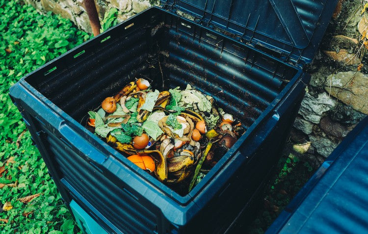 Food Scraps In The Compost Bin