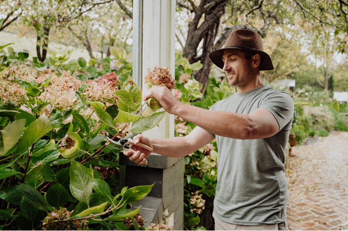 man using secateurs to cut flower