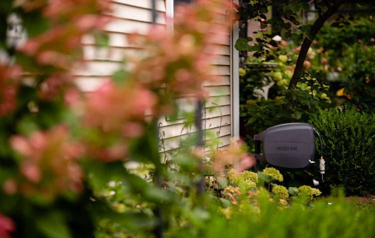 September Garden Chores & To-Dos for Zones 5–7