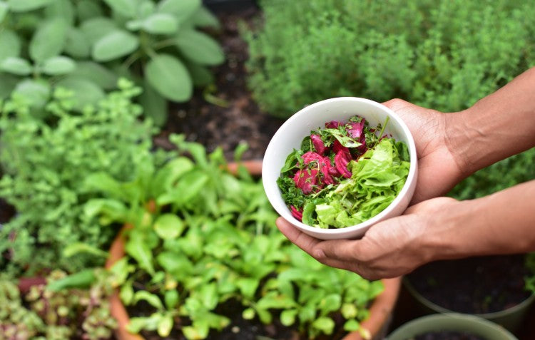 Grow Your Own Fast Food