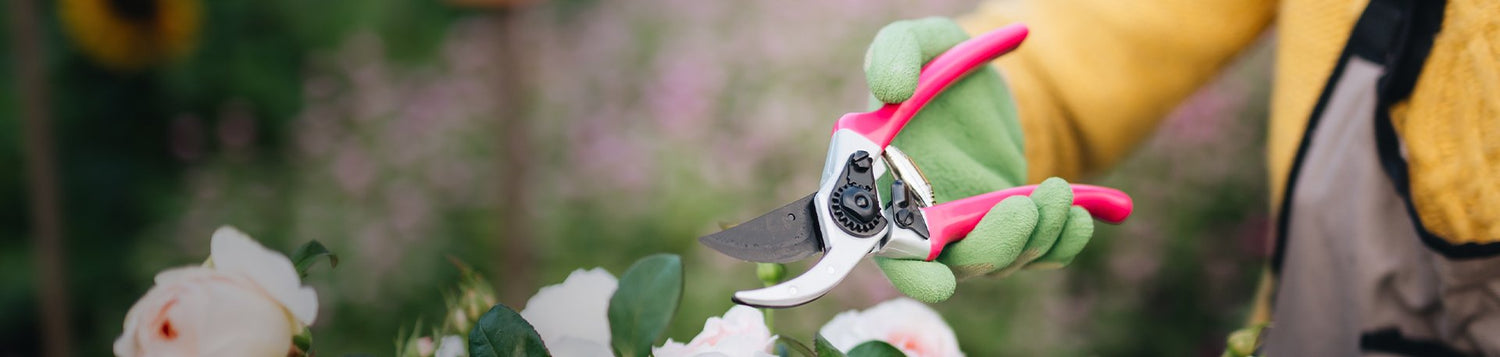 Gardening Equipment