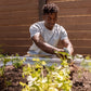 Man tending to plants in a garden bed with a wooden fence in the background