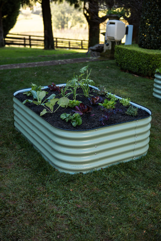 6 in 1 Garden Bed on grass in a tub formation with an Evolve hosereel in the background.