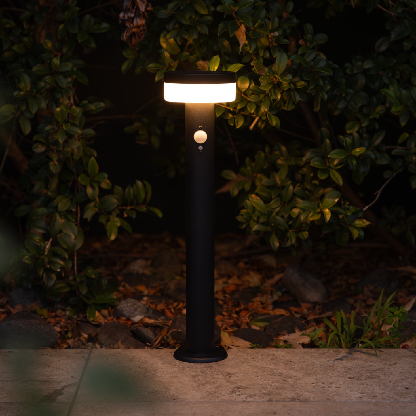 Black Stainless Steel Solar Bollard illuminating a path with green hdges in the background