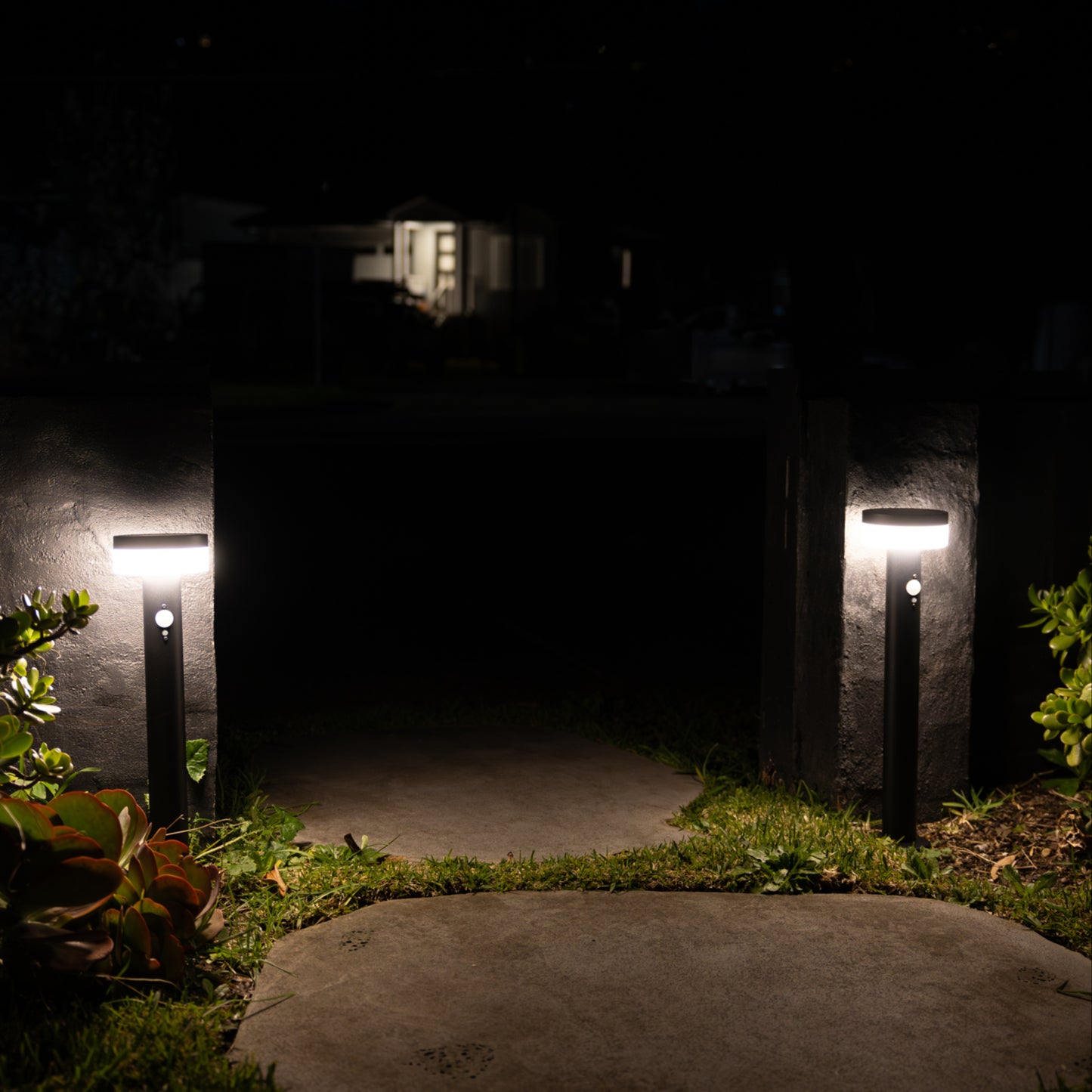 Garden pathway illuminated by two stainless steel bolalrd outdoor lights at night.