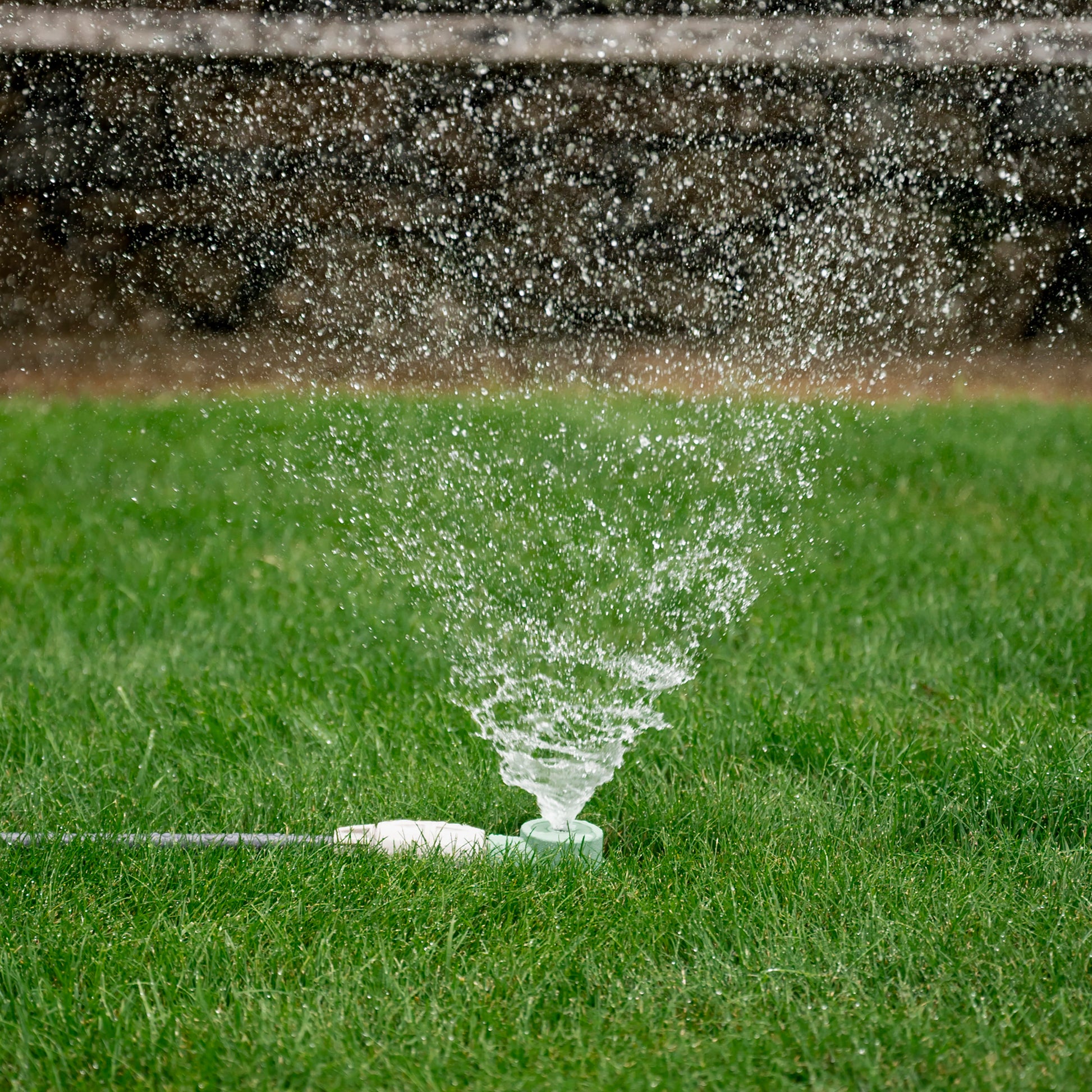 round sprinkler watering grass