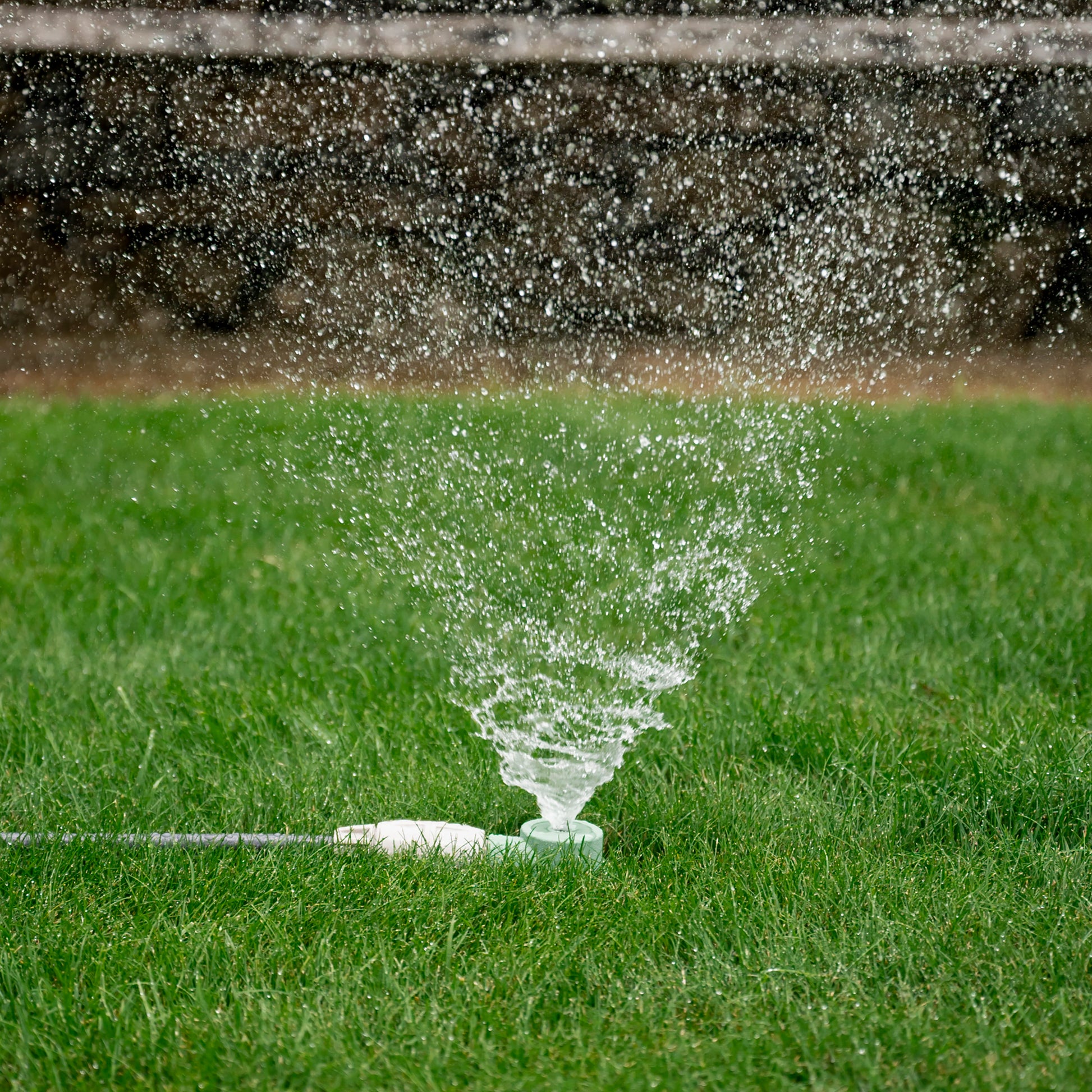 Ray Padula Deluxe Metal Pulsating Sprinkler on In-Series Metal 3-Prong Step Spike - Ray Padula Lawn and Garden Ray Padula Deluxe Metal Pulsating Sprinkler on In-Series Metal 3-Prong Step Spike - Ray Padula Lawn and Garden