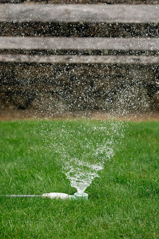 classic round sprinkler watering lawn