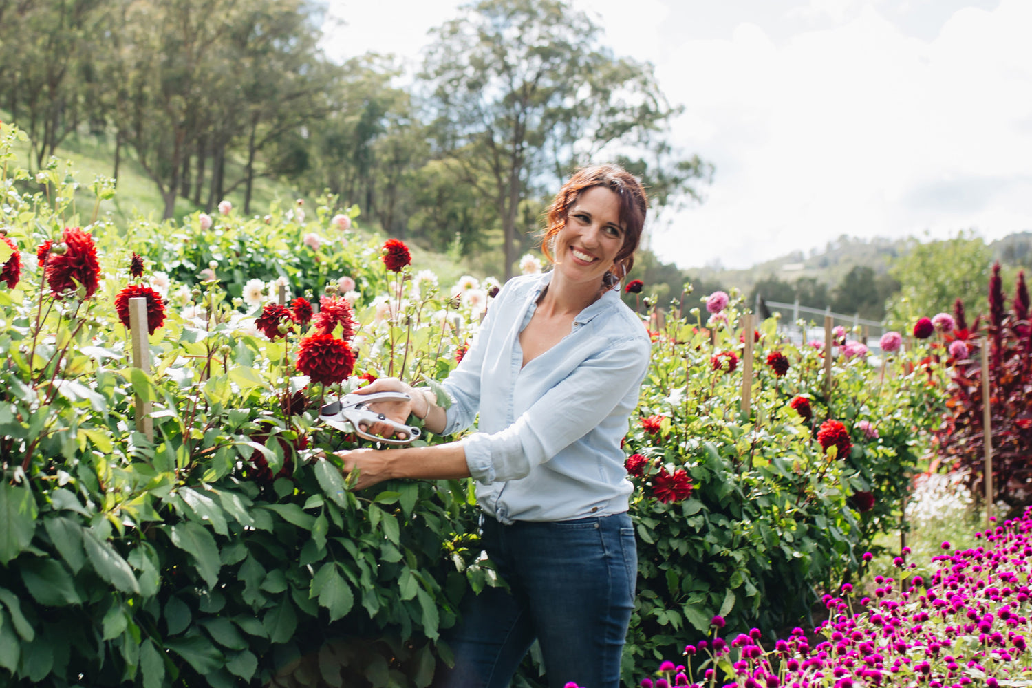 Female using silver Ratchet Pruners to prune flowers