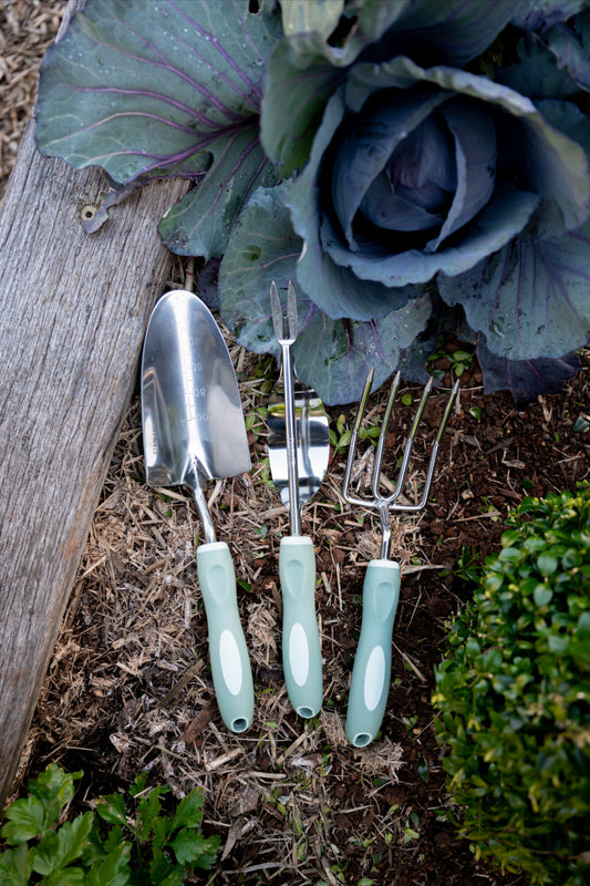 Gardening tools with a cabbage in a garden setting
