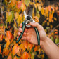 person cutting leaves with green secateurs