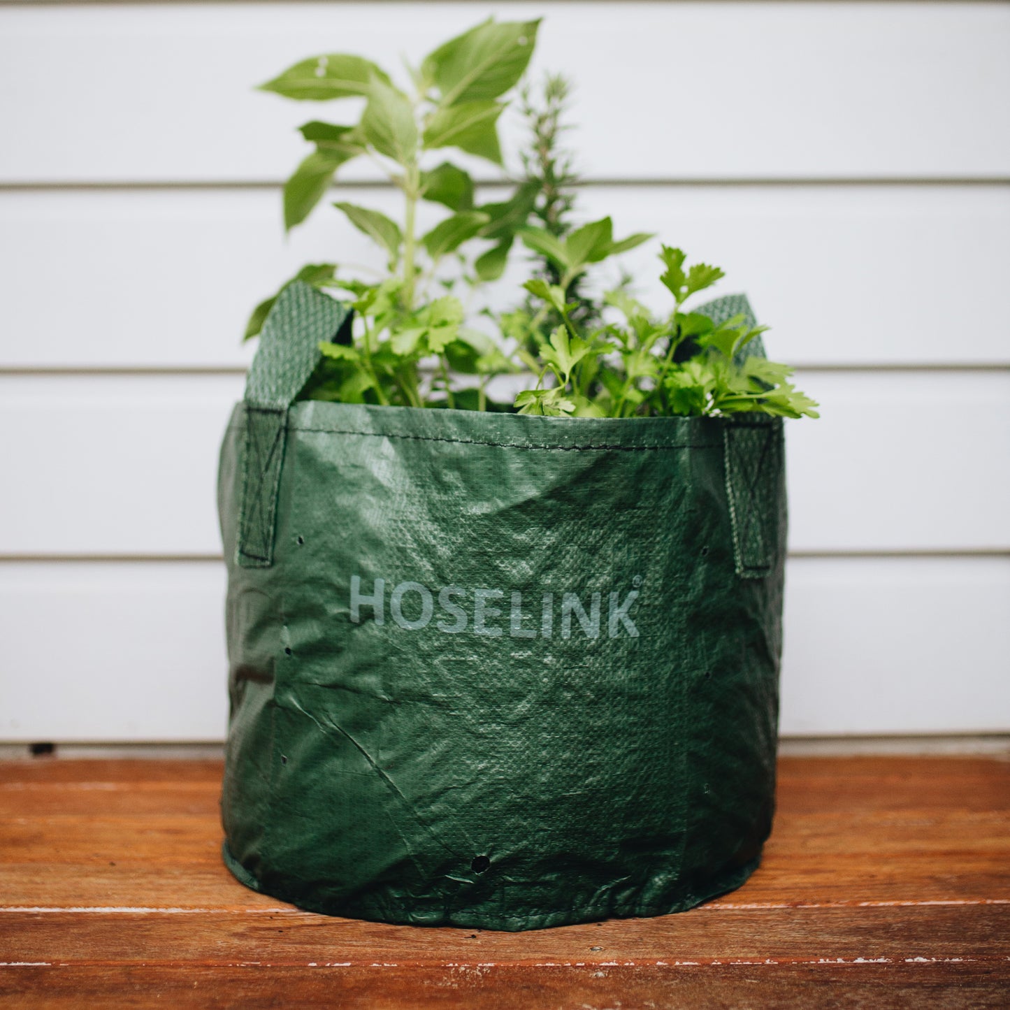 Heavy Duty Planter Bag with plant inside