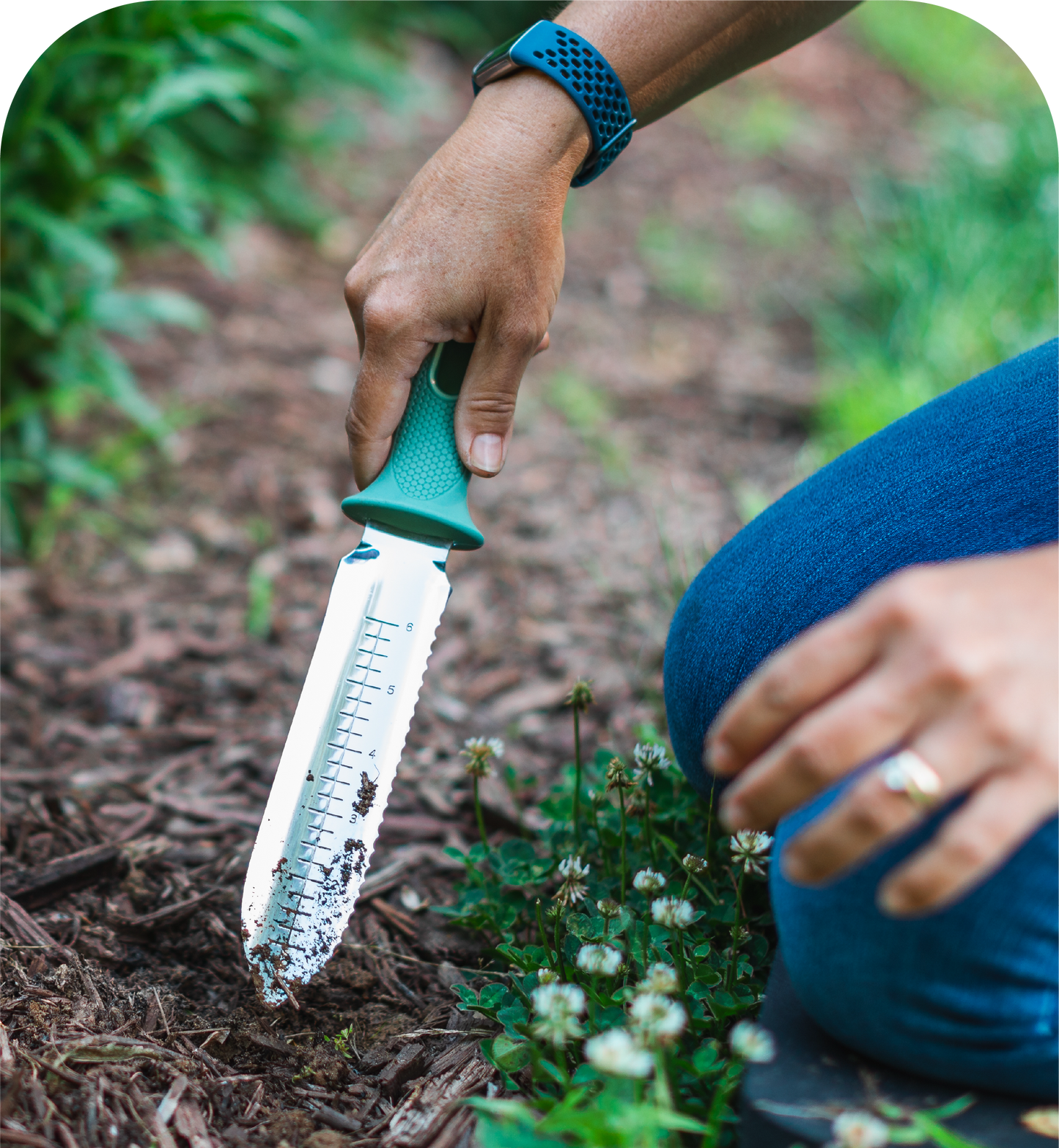 Garden Bed Essentials Bundle