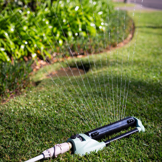 Oscillating sprinkler watering grass