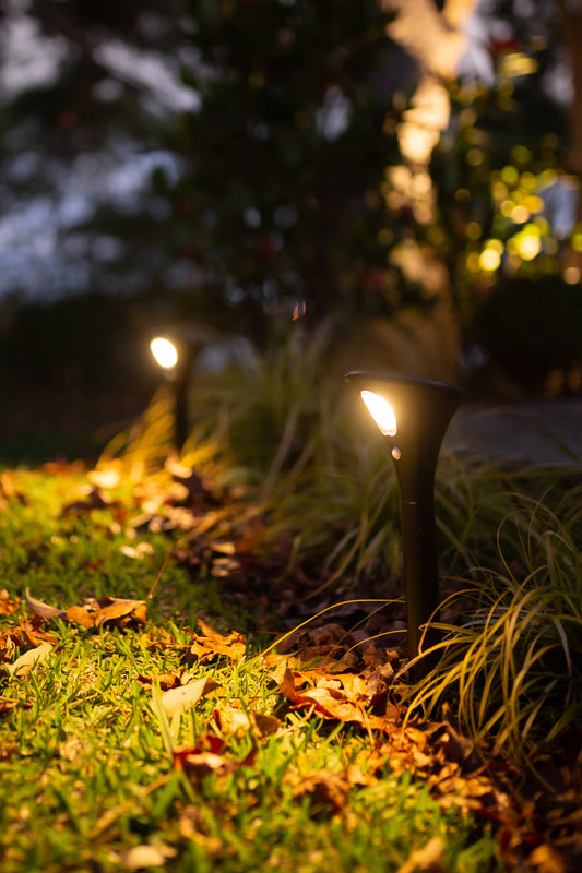 solar-garden-path-lights-lighting-up-a-garden-bed