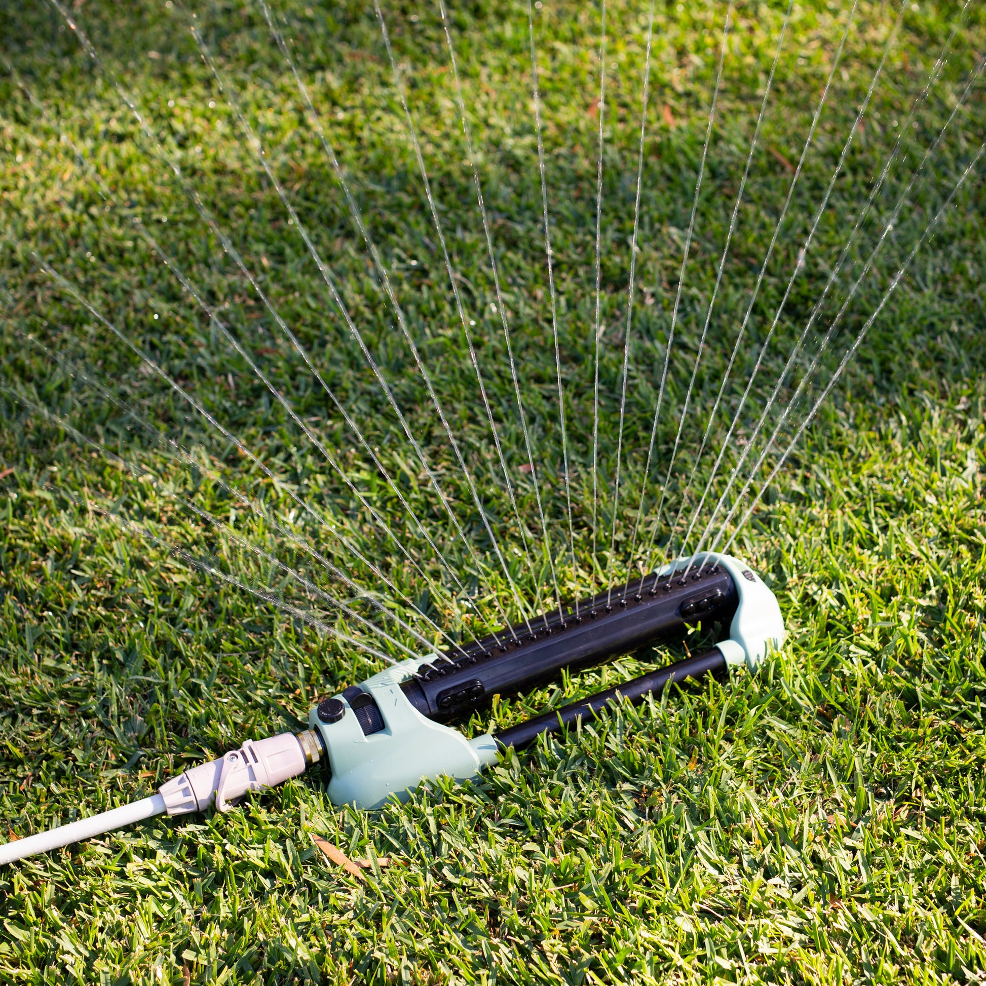 Oscillating sprinkler watering grass