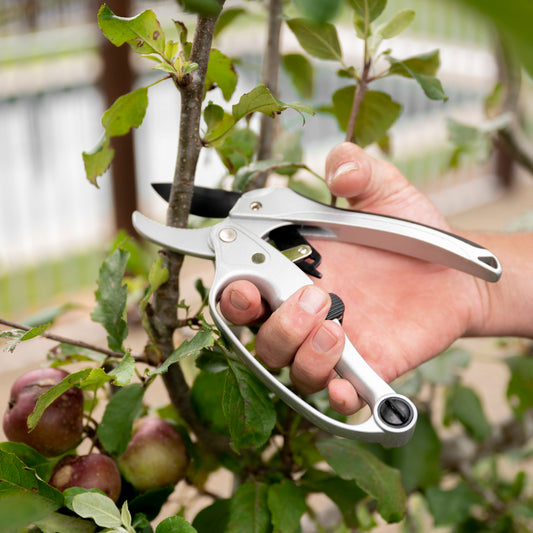 person cutting branch with ratchet pruners