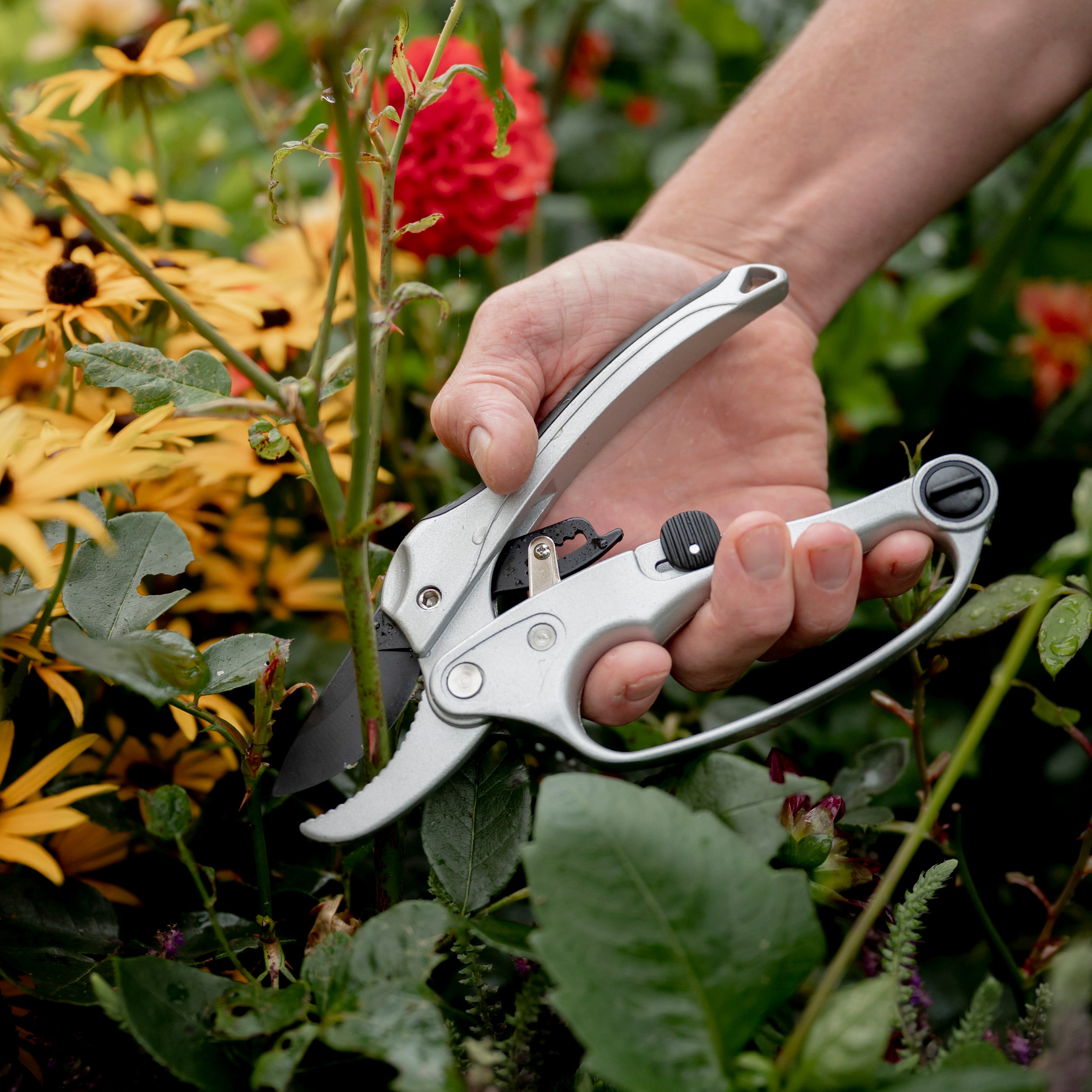 Hoselink Ratchet Pruners - Thumbnail 5
