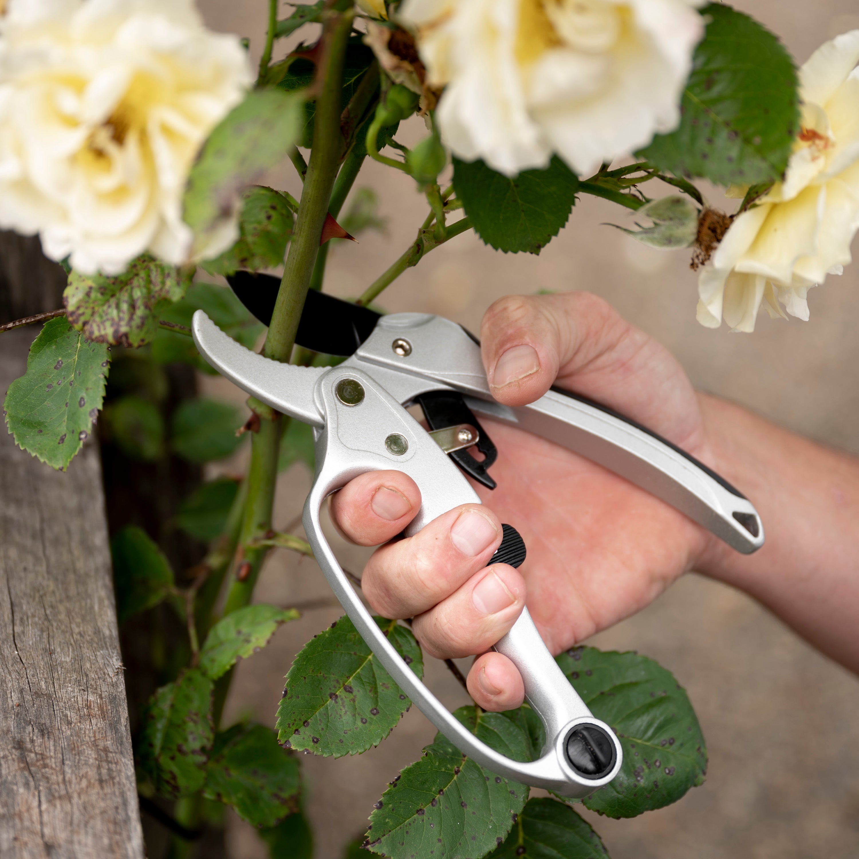 Hoselink Ratchet Pruners - Thumbnail 4