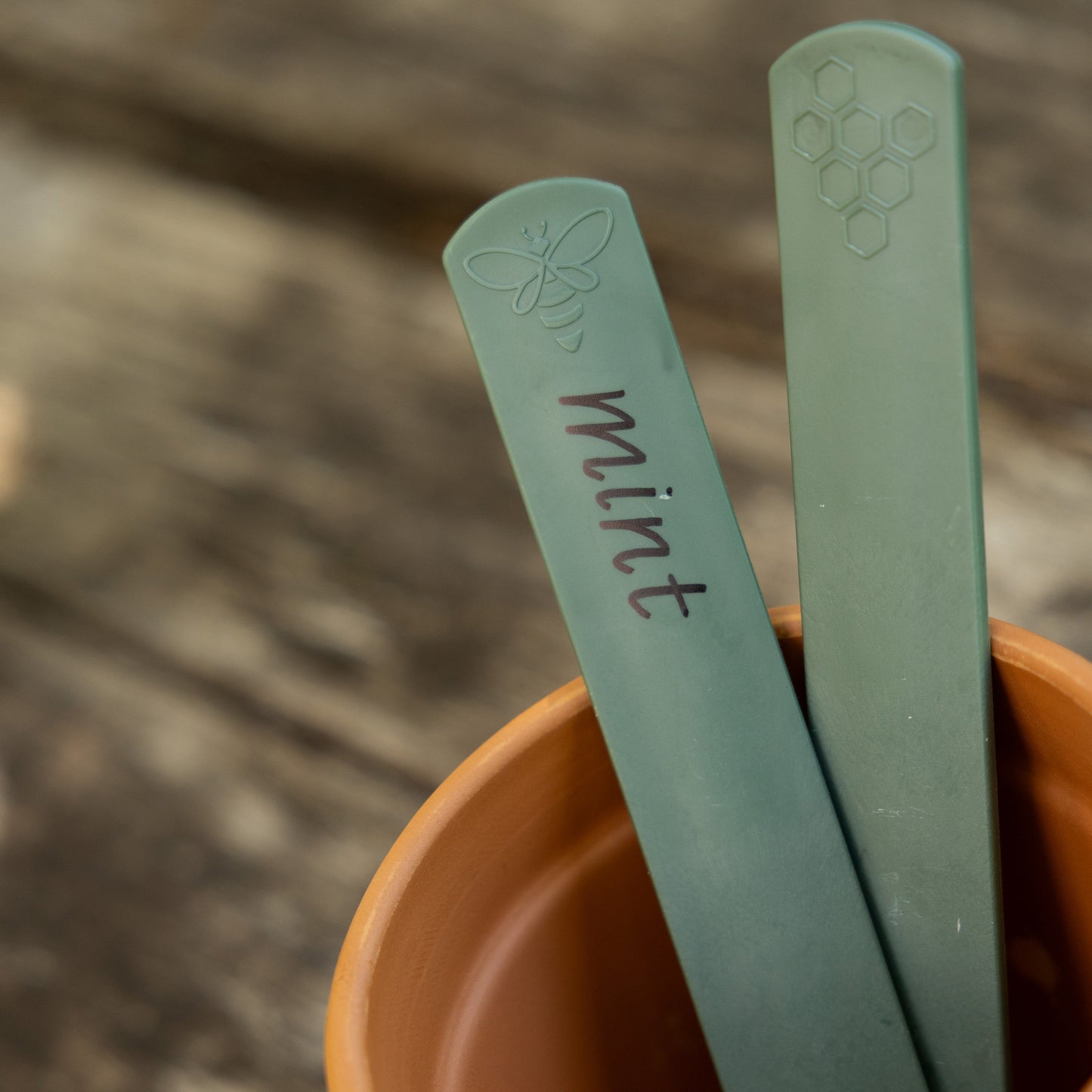 Two recycled plastic sage green plant labels in terracotta pot - one with mint written on