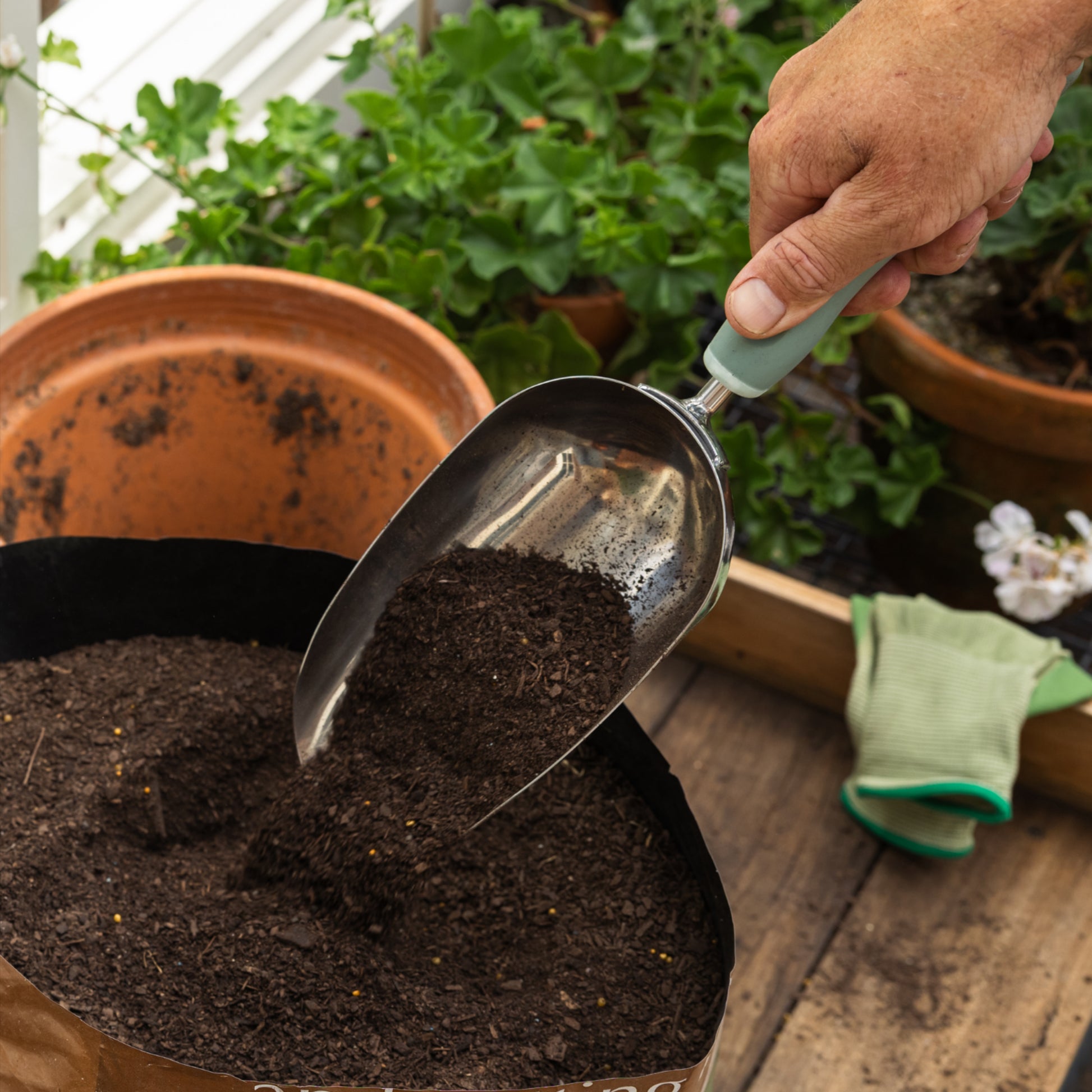 Person using the Large Potting Scoop to scoop potting soil from a bag.