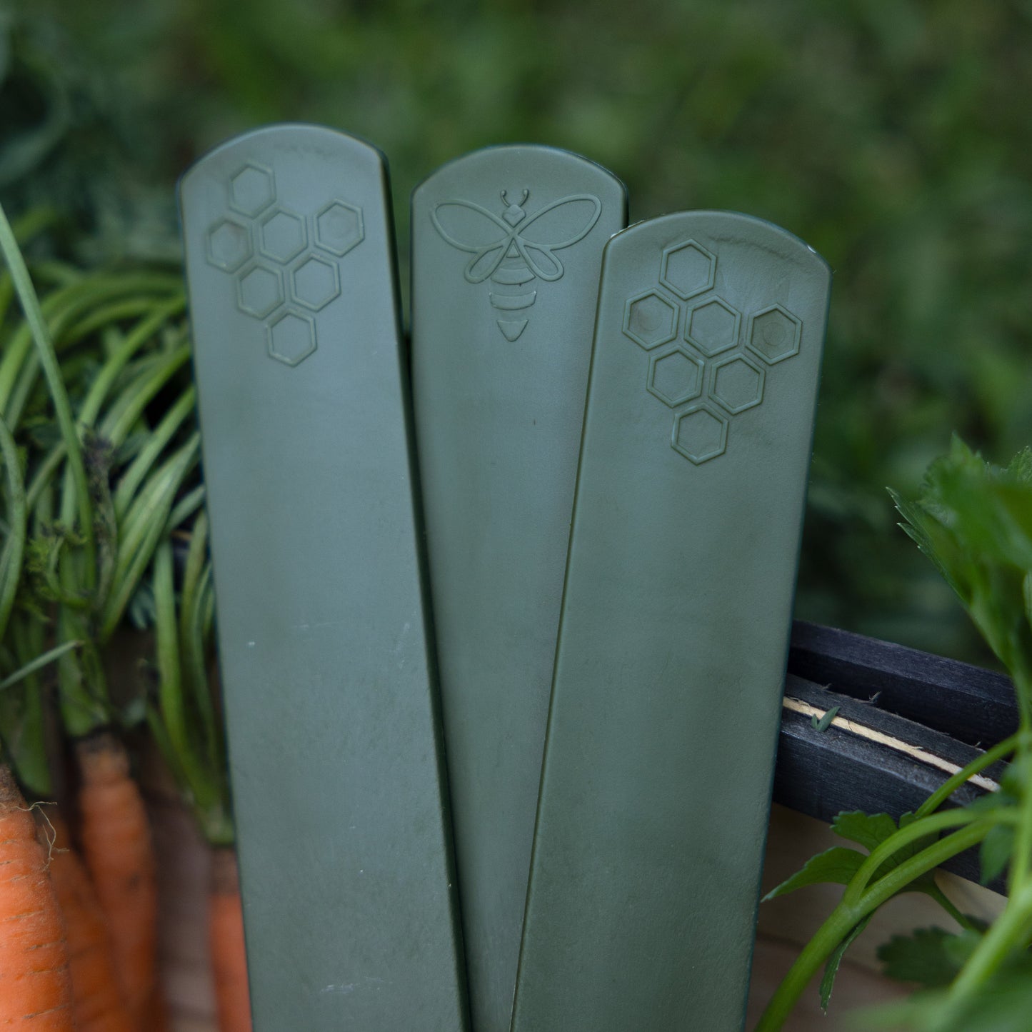 Set of three sage green plastic plant labels in garden trug next to carrots