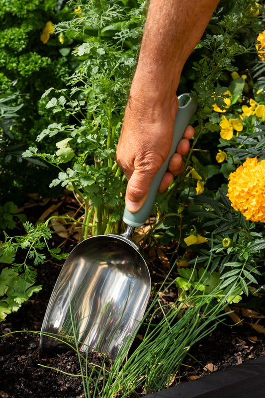 Person using the large potting scoop in a garden with yellow and pink flowers.