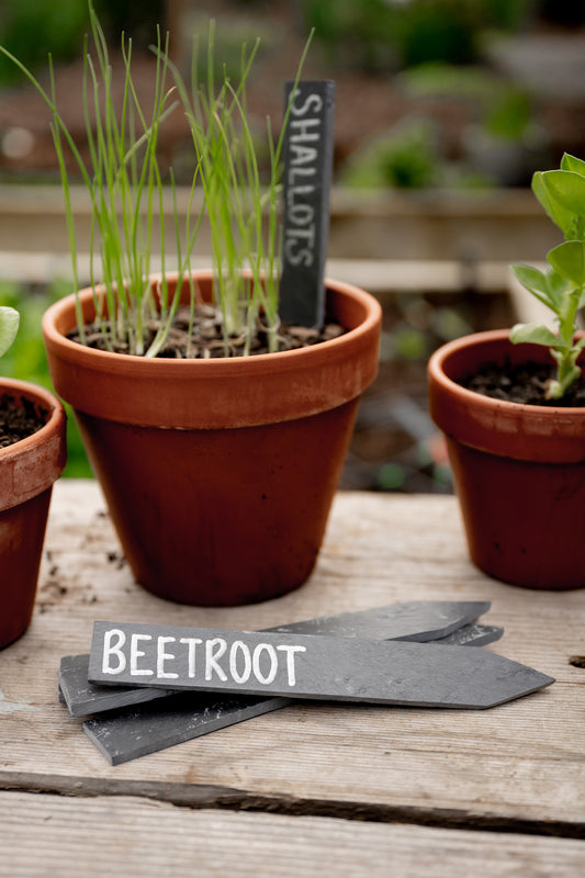 slate plant labels in pot plants and on garden bench with pots